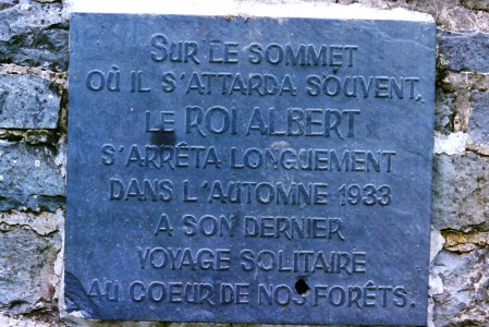  Monument Roi Albert. Forêt de Saint Hubert.
 