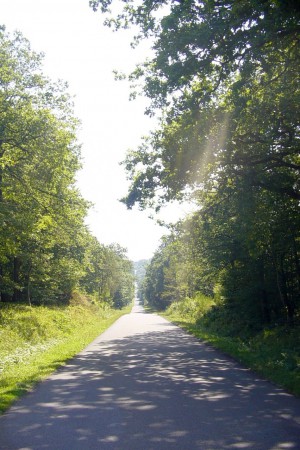  Forêt d'Anlier.