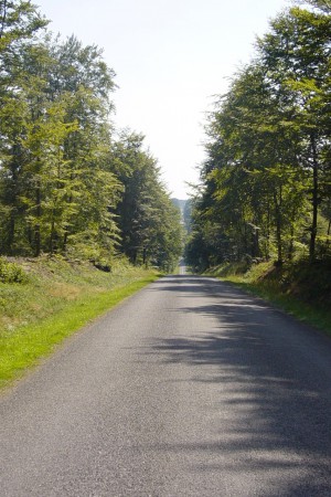  Forêt d'Anlier.