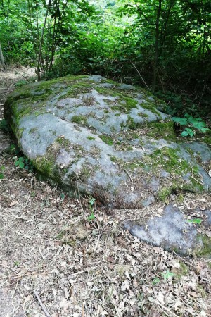  Le Polissoir néolithique de Velaine-sur-Sambre.