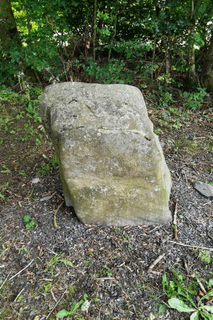  La pierre druidique de Bethomont.