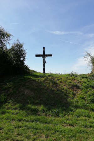  Virée en forêt de Saint-Hubert.