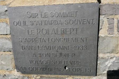  Monument Roi Albert. Forêt de Saint-Hubert.
 