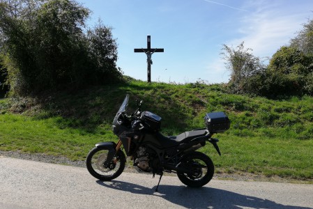  Virée en forêt de Saint-Hubert.