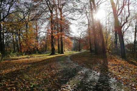  Balade des châteaux.