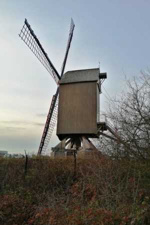  Le Luizenmolen.