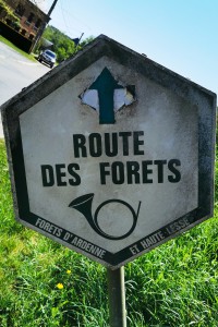  La route des forêts.