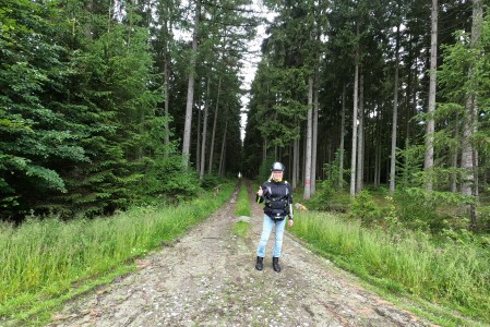  Forêt de Bastogne.