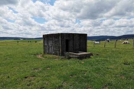  Fortin Devèze à Tenneville. N50.09214° E5.54966°