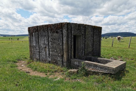  Fortin Devèze à Tenneville. N50.09214° E5.54966°