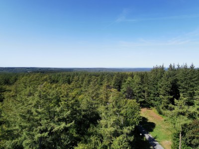  ﻿Point-de-vue depuis la tour du Millénaire de Gedinne.