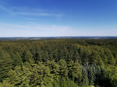  ﻿Point-de-vue depuis la tour du Millénaire de Gedinne.