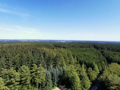  ﻿Point-de-vue depuis la tour du Millénaire de Gedinne.