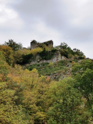  ﻿Château de Haute Roche. Réserve naturelle de Dourbes.