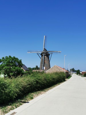  ﻿Moulin de hoop.