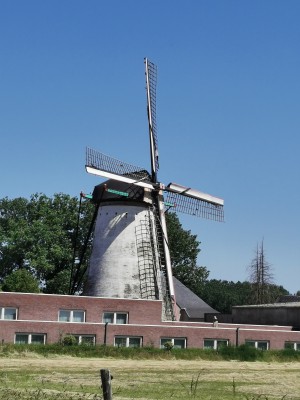  ﻿Moulin Stormvogel à Boorsem.