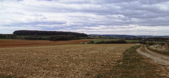  Proximité village de Jamiolle.