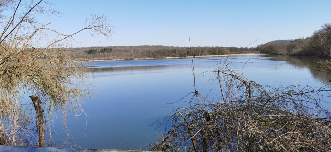  Grand Lac à Mariembourg.