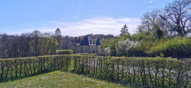  ﻿Château de Somal.