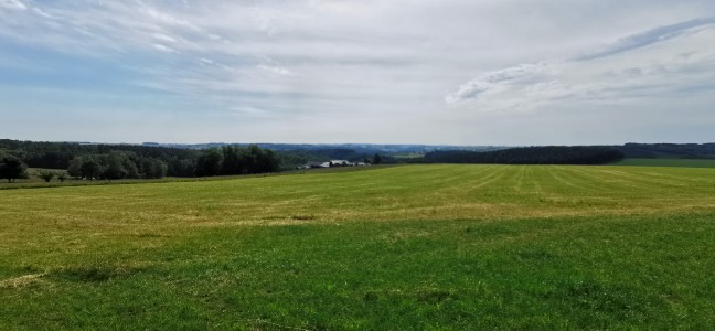  ﻿Parc naturel des deux Ourthes.