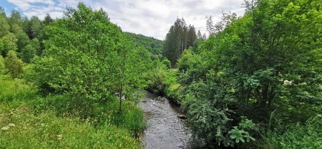  ﻿L'Ourthe orientale.