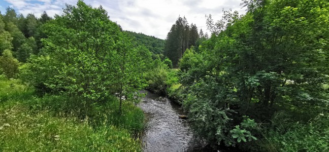  ﻿L'Ourthe orientale.