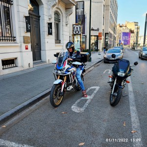  ﻿Arrêt avenue Louise à Bruxelles.