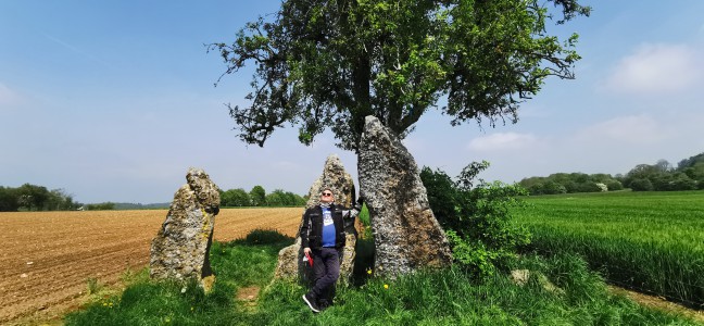  Les 3 menhirs d'Oppagne.