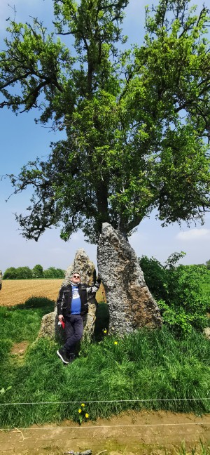  Les 3 menhirs d'Oppagne.