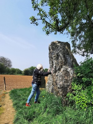  Les 3 menhirs d'Oppagne.
