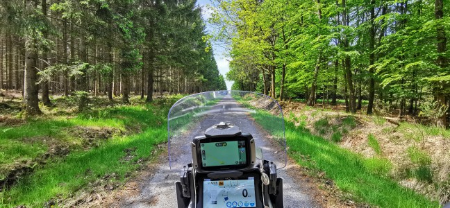  Boucle dans le Parc naturel Hautes Fagnes - Eifel.