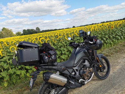  Au nord de la ville de Tours.