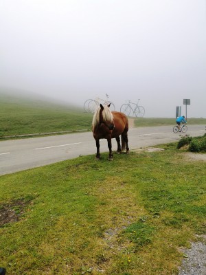  Col d'Aubisque 1709M.