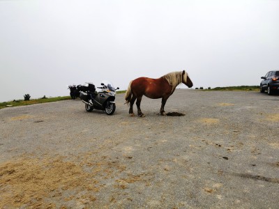  Col d'Aubisque 1709M.