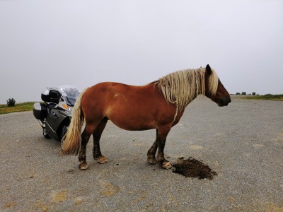  Col d'Aubisque 1709M.