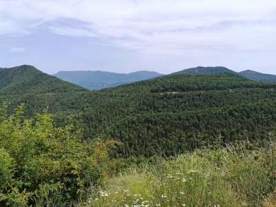  Col de Boixols. 1380M. Catalogne. Espagne.