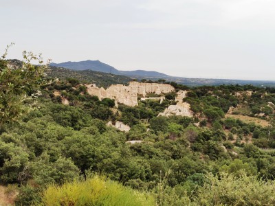  Point-de-vue sur les Orgues. 
 