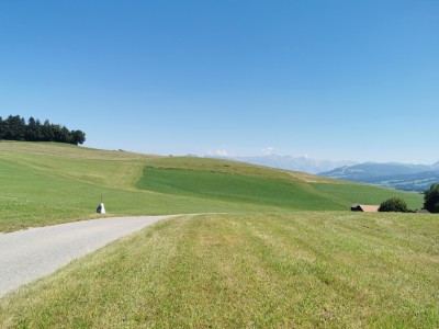  ﻿Route d'Estevenens entre Romaniens et Grangettes. Suisse.