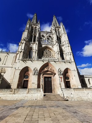  ﻿Burgos.