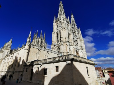  ﻿Burgos.