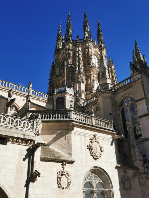  ﻿Burgos.