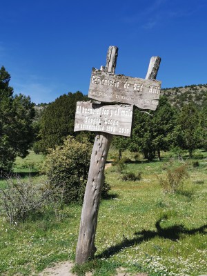  ﻿Cimetière de Sad Hill.