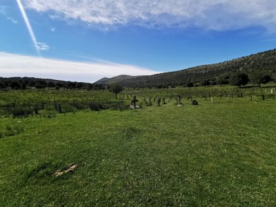  ﻿Cimetière de Sad Hill.