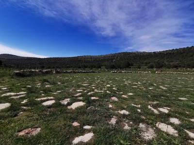  ﻿Cimetière de Sad Hill.