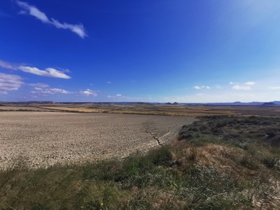  ﻿Desert des Bardenas Reales.