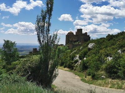  ﻿Château-fort de Loarre.