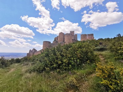  ﻿Château-fort de Loarre.