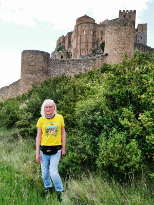  ﻿Château-fort de Loarre.