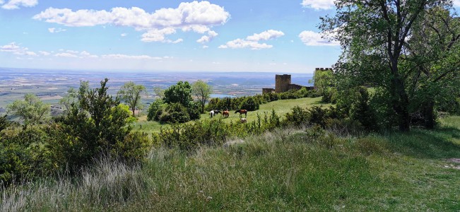  ﻿Château-fort de Loarre.