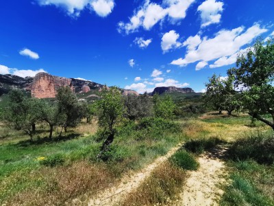  ﻿Point-de-vue vers Las Peñas de Riglos.